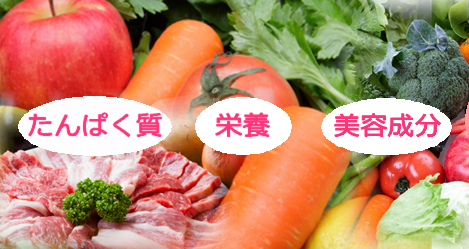 たんぱく質+栄養+美容成分を配合